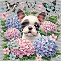 Animal Integration-DW 499